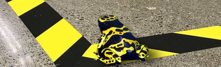 Pathfinder rigid hazard tape and yellow banded frog