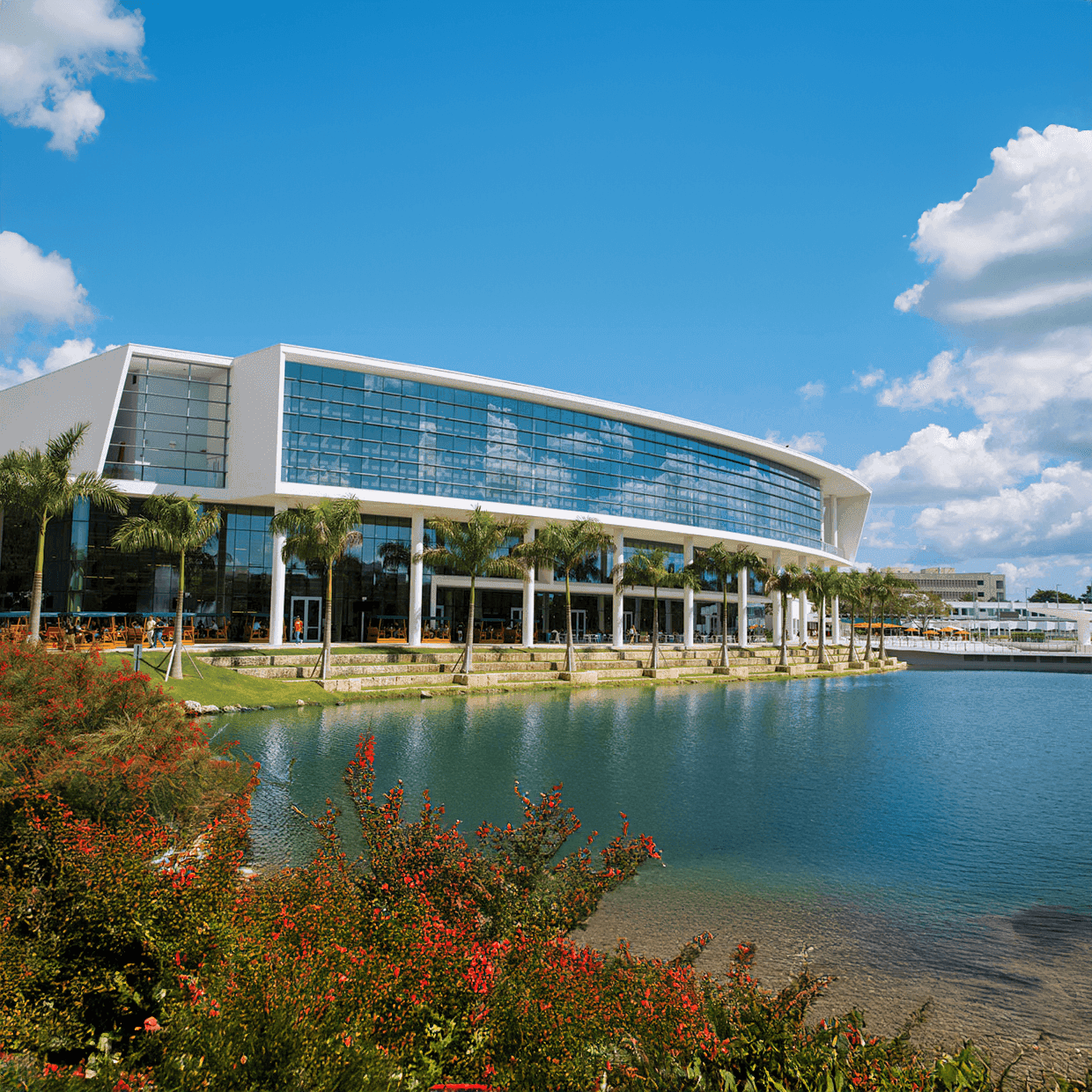 University of Miami campus
