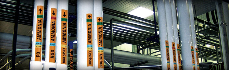 Refrigerated ammonia pipes with clear and compliant ammonia pipe marking labels.