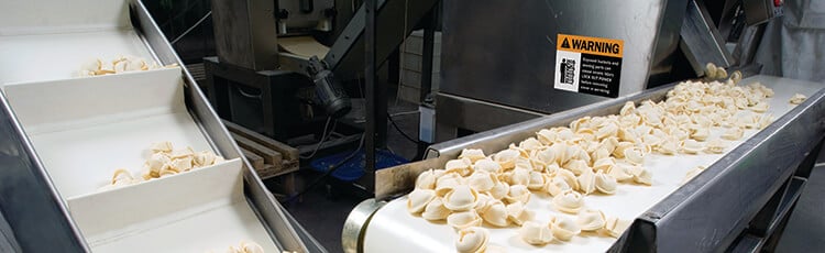 Food on a conveyor belt being processed